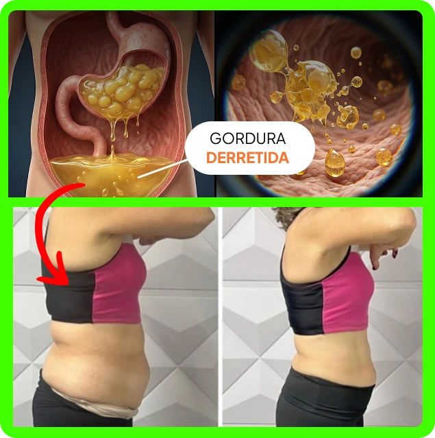 Comparação de células de gordura